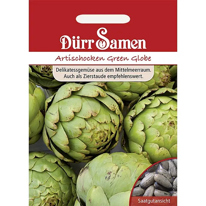 Dürr Samen Gemüsesamen Artischocke - Cynara scolymus, Erntezeit: August - Rotes Dürr Samen Artischocken Green Globe Saatguttütchen mit Bild von frischen Artischocken und Samen.