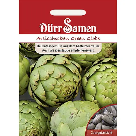 Dürr Samen  Gemüsesamen Artischocke