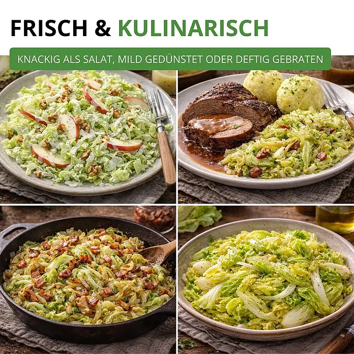 Deine Gartenwelt Zichoriensalat Zuckerhut -  - Vier Gerichte mit frischem Kohl: knackiger Salat, gedünstet zu Fleisch und Knödeln, und deftig gebraten mit Speck.