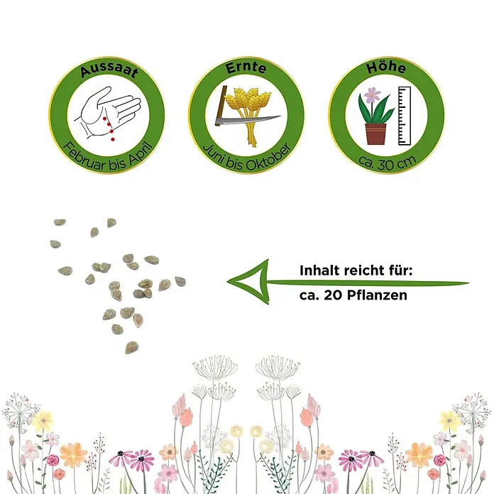 Deine Gartenwelt Balkontomate gelb Cereza Amarilla -  - Kleine Samen mit Pflanzinformationen: Aussaat Feb-Apr, Ernte Jun-Okt, Höhe ca. 30cm, reicht für ca. 20 Pflanzen.