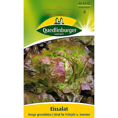 Quedlinburger SAATGUT  Salatsamen Eissalat