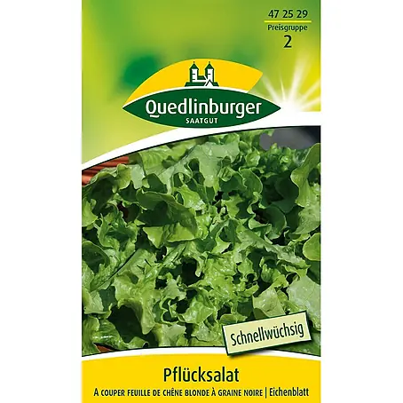 Quedlinburger SAATGUT  Salatsamen Schnittsalat