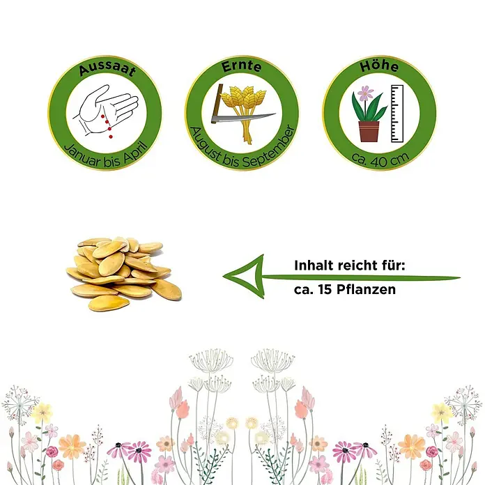 Deine Gartenwelt Zuckermelone Charentais -  - Garteninformationen für Samen: Aussaat Januar-April, Ernte August-September, Höhe ca. 40 cm. Inhalt reicht für ca. 15 Pflanzen.