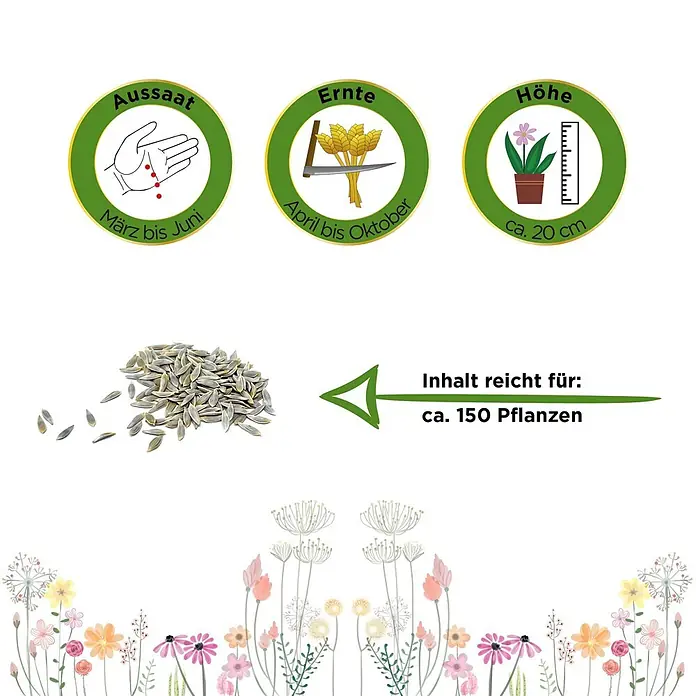 Deine Gartenwelt Mini-Romanasalat Xanadu -  - Saatgutpaket mit Symbolen für Aussaat (März-Juni), Ernte (April-Okt), Höhe (~20cm) und Ertrag (~150 Pflanzen).