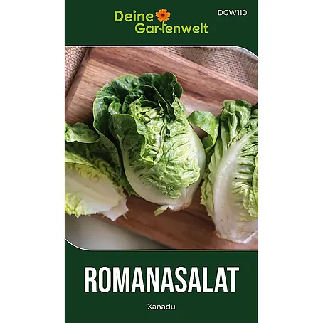 Deine Gartenwelt Mini-Romanasalat Xanadu