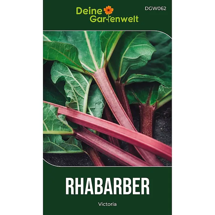 Deine Gartenwelt Rhabarber rot -  - Saatguttüte für 'Victoria' Rhabarber, zeigt rote Stiele und grüne Blätter.