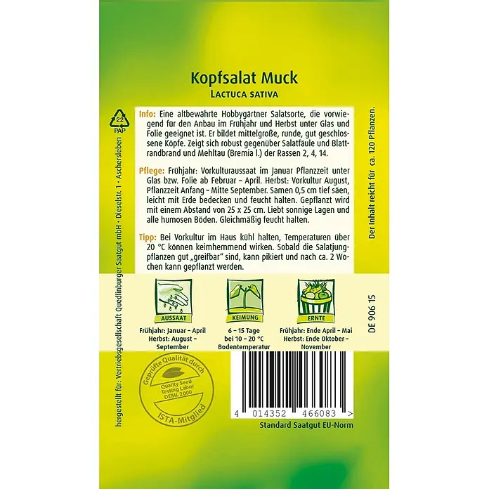 Quedlinburger SAATGUT Salatsamen Kopfsalat - Lactuca sativa, Erntezeit: April, 3,5 g - Gelb-grüne Samenpackung für Kopfsalat Muck mit Anbauanleitung.