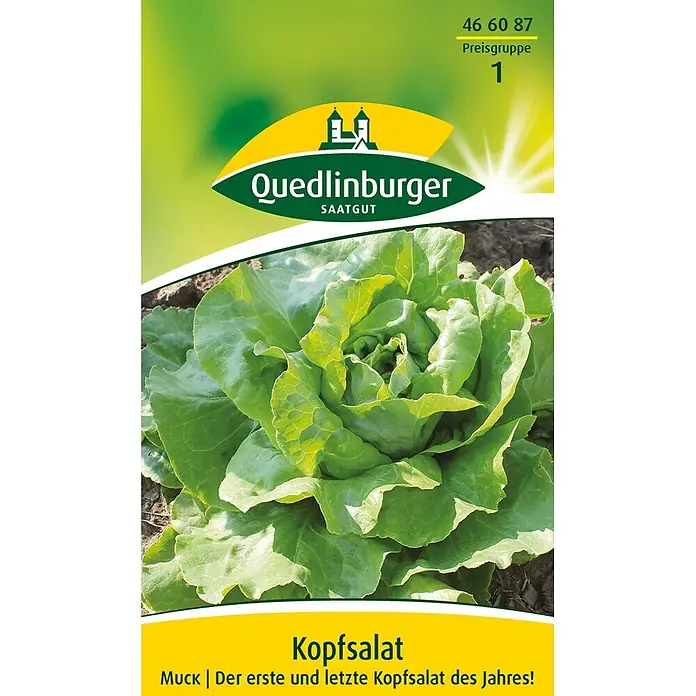 Quedlinburger SAATGUT Salatsamen Kopfsalat - Lactuca sativa, Erntezeit: April, 3,5 g - Samenpackung für Kopfsalat von Quedlinburger mit Bild eines frischen grünen Salatkopfes.