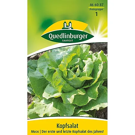 Quedlinburger SAATGUT  Salatsamen Kopfsalat