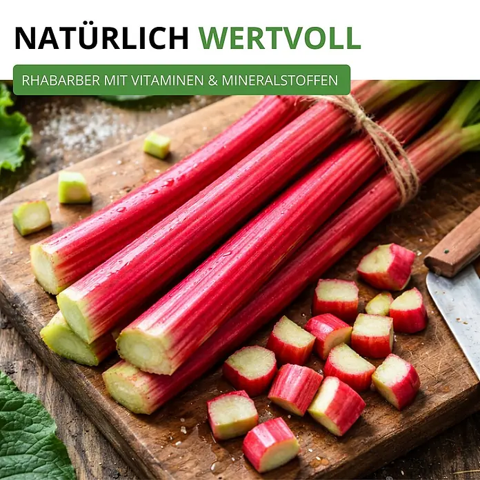 Deine Gartenwelt Rhabarber rot -  - Frische rote und grüne Rhabarberstangen, teilweise geschnitten, auf einem Holzschneidebrett mit Messer.