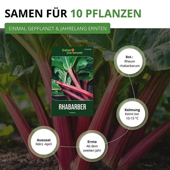 Deine Gartenwelt Rhabarber rot -  - Samenpackung für Rhabarber 'Victoria' mit Details zu Aussaat, Keimung und Ernte, auf einem Hintergrund von Rhabarberpflanzen.