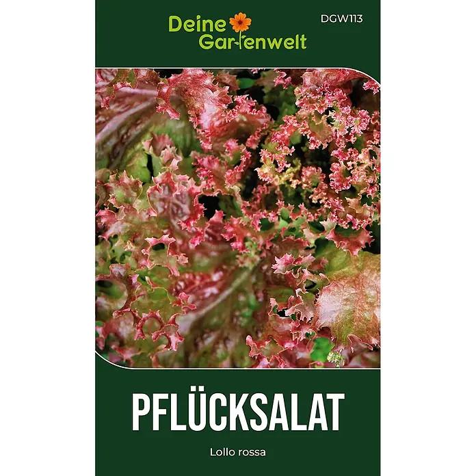Deine Gartenwelt Pflücksalat Lollo rossa -  - Saatgutpackung für Pflücksalat Lollo rossa mit leuchtend roten und grünen krausen Blättern und Produkttext.