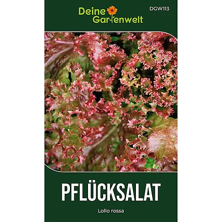 Deine Gartenwelt Pflücksalat Lollo rossa