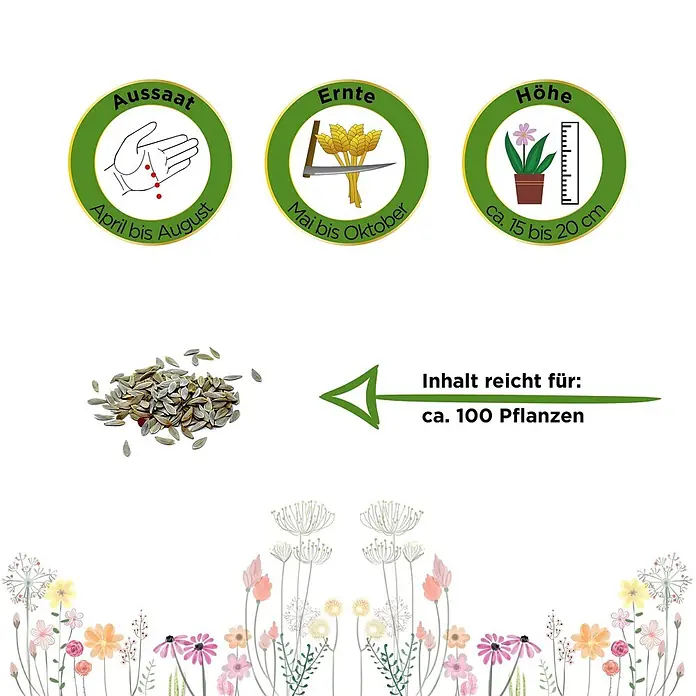 Deine Gartenwelt Pflücksalat Lollo rossa -  - Aussaat April-August, Ernte Mai-Oktober, Höhe 15-20 cm. Samen für ca. 100 Pflanzen, mit Blumenillustration.