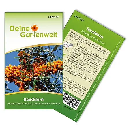 Deine Gartenwelt  Obstsamen Sanddorn