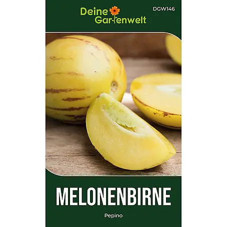 Deine Gartenwelt Melonenbirne Pepino