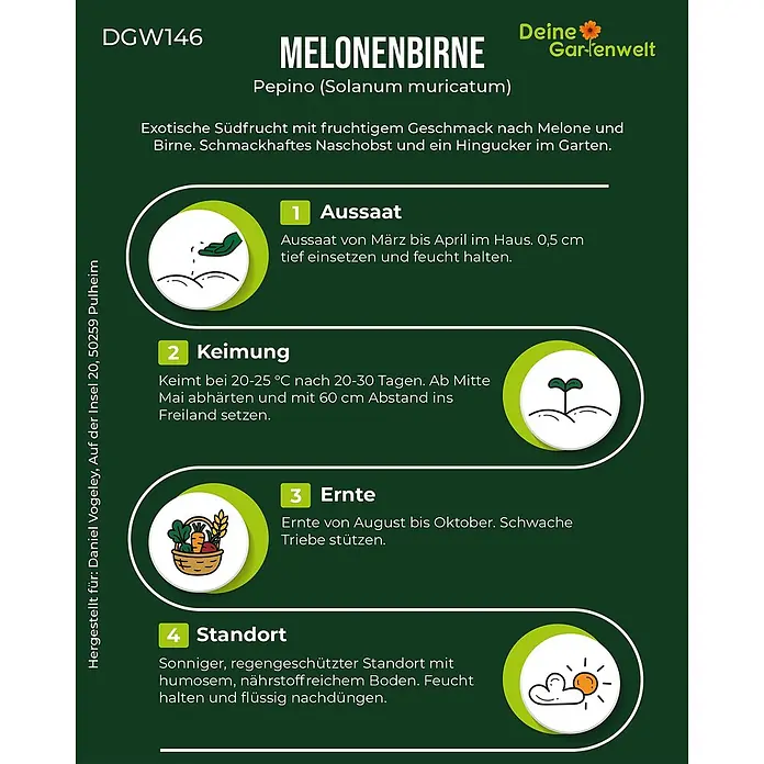 Deine Gartenwelt Melonenbirne Pepino -  - Pflanzanleitung für Melonenbirne (Pepino) Samen mit Infos zu Aussaat, Keimung, Ernte und Standort, illustriert mit Symbolen.