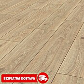 LOGOCLIC Vinto Laminat Negroni  (Bež, Rustikalni pod, 1.288 x 195 x 9 mm) | BAUHAUS