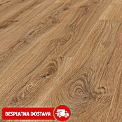 LOGOCLIC Edition Laminat Family Lagoon  (Rustikalni pod, 1.288 x 245 x 7 mm) | BAUHAUS