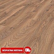 LOGOCLIC Edition Laminat Vinto hrast Sundance  (Rustikalni pod, 1.288 x 245 x 8 mm) | BAUHAUS