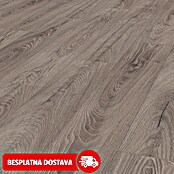 LOGOCLIC Ambienta Laminat Venus  (Rustikalni pod, 1.288 x 195 x 10 mm) | BAUHAUS