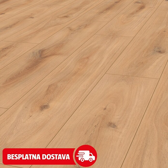 LOGOCLIC Edition Laminat Vinto Sunshine Hrast  (Rustikalni pod, 1.288 x 245 x 8 mm) | BAUHAUS