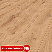 LOGOCLIC Edition Laminat Vinto Sunshine Hrast  (Rustikalni pod, 1.288 x 245 x 8 mm) | BAUHAUS