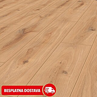 LOGOCLIC Edition Laminat Vinto Sunshine Hrast (Rustikalni pod, 1.288 x 245 x 8 mm)