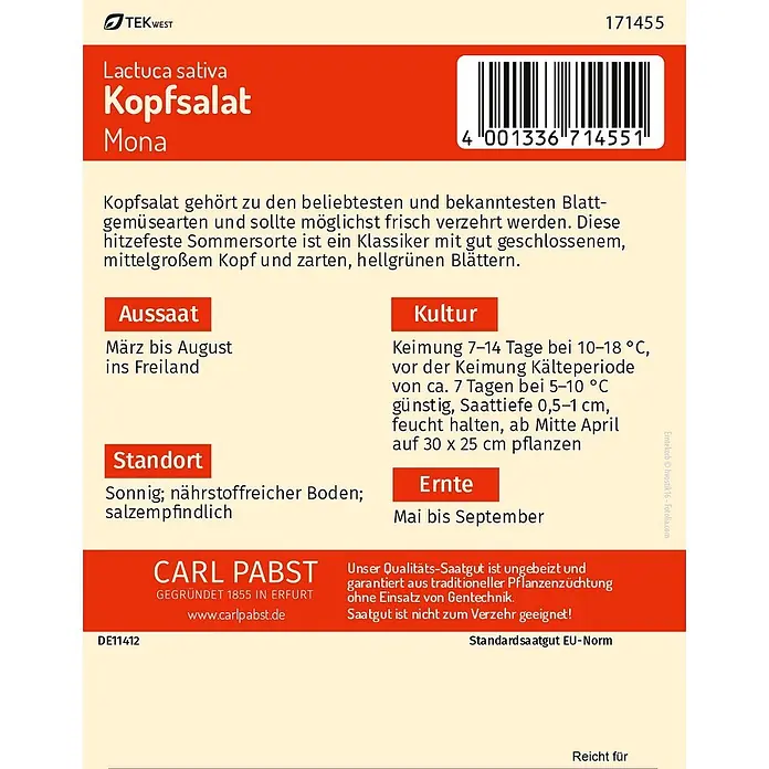 Pabst Keimkraft Salatsamen Kopfsalat - Lactuca sativa var. capitata, Erntezeit: Mai, 0,3 g - Samenpackung Kopfsalat 'Mona' mit Informationen zur Aussaat und Pflege.
