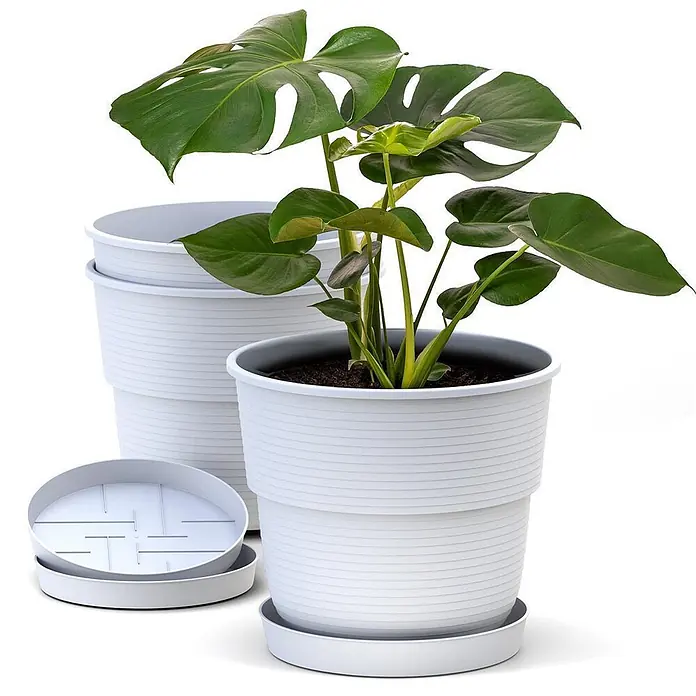 Plastard Pflanztopf 3er Set Ø20 cm mit Untersetzer Weiß, Pflanzkübel - 3 Stk., Außenmaß (Ø x H): 20 x 17 cm, Kunststoff, Weiß - Set aus weißen gerippten Kunststoff-Pflanztöpfen mit passenden Untersetzern. Ein Topf enthält eine grüne Monstera-Pflanze; andere sind gestapelt.