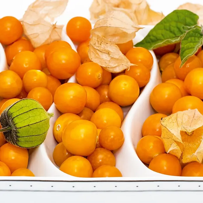 Deine Gartenwelt Physalis Andenbeere Kapstachelbeere -  - Goldbeeren (Physalis) teils mit Kelchblättern, in einem weißen Serviertablett mit Fächern.