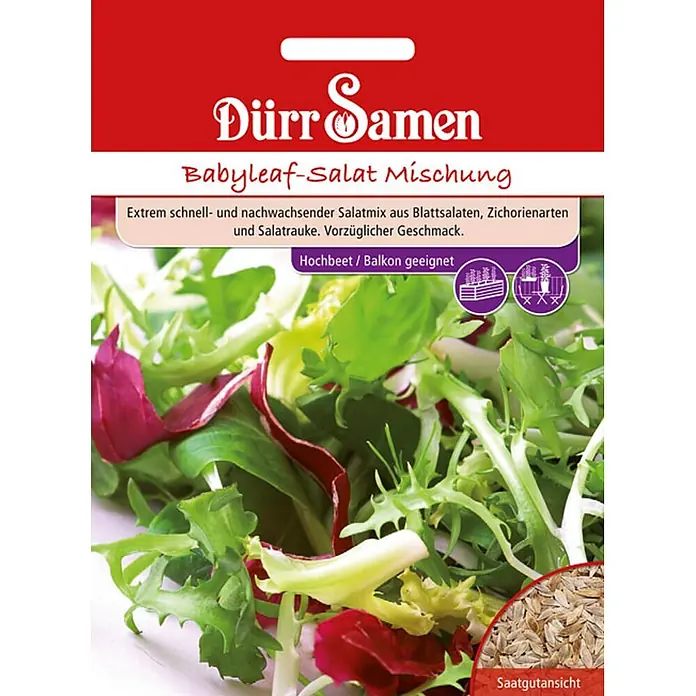 Dürr Samen Salatsamenmischung Mischung - Mischung, Erntezeit: Sortenabhängig, 6,5 g - Rote Saattüte Dürr Samen Babyleaf-Salat Mischung, mit gemischten grünen und roten Blättern und Nahaufnahme der Samen.