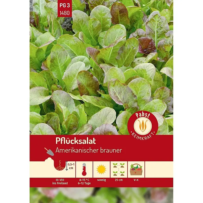 Pabst Keimkraft Salatsamen Pflücksalat - Lactuca sativa var. acephala, Erntezeit: Mai, 0,4 g - Pflücksalat mit grünen und rotbraunen Blättern. Enthält Pflanzanweisungen für Aussaattiefe, Temperatur, Sonne, Abstand und Ernte.