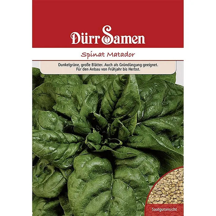 Dürr Samen Gemüsesamen Spinat - Spinacia oleracea, Erntezeit: Mai