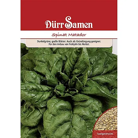 Dürr Samen  Gemüsesamen Spinat
