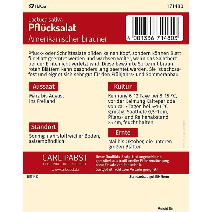 Pabst Keimkraft Salatsamen Pflücksalat - Lactuca sativa var. acephala, Erntezeit: Mai, 0,4 g - Rotes und weißes Samentütchen für 'Amerikanischen braunen Pflücksalat' mit Pflanzdetails und Barcode.