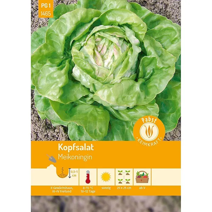 Pabst Keimkraft Kopfsalat früh & treibfähig Meikoningin -  - Grüner Kopfsalat mit Angaben zur Aussaat: Pflanztiefe, Temperatur, Sonneneinstrahlung, Abstand und Erntezeit.