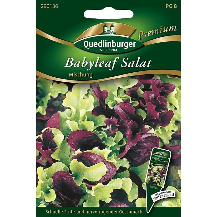 Quedlinburger SAATGUT Salatsamenmischung Mischung - Mischung, Erntezeit: Februar, 7 g - Saatguttüte für Babyleaf Salatmischung mit grünen und roten Blättern.