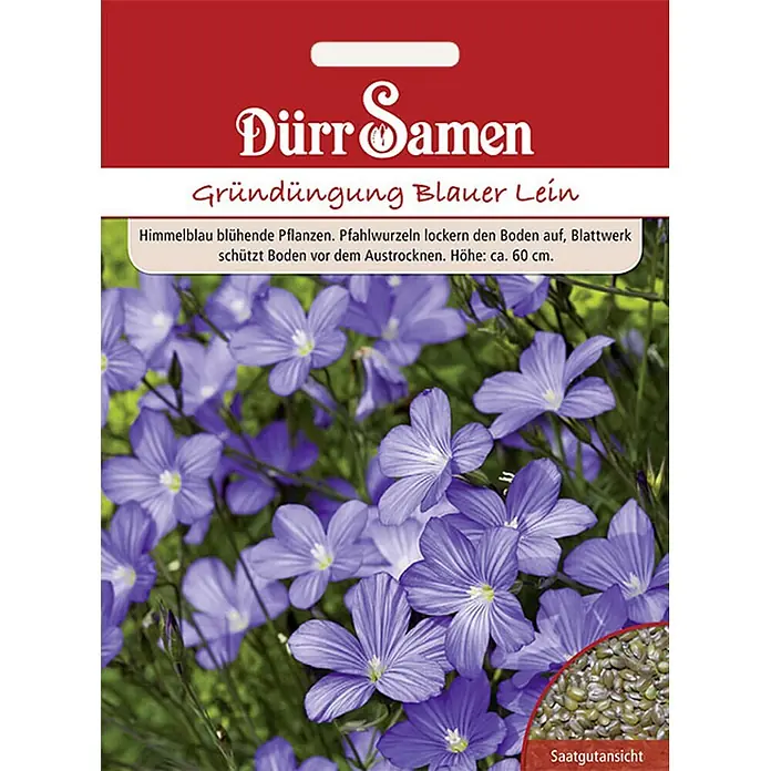 Dürr Samen Gründüngung Blauer Lein 60 g -  - Samentüte für Dürr Samen Blauen Lein Gründünger, mit blauen Blüten und Samenansicht.