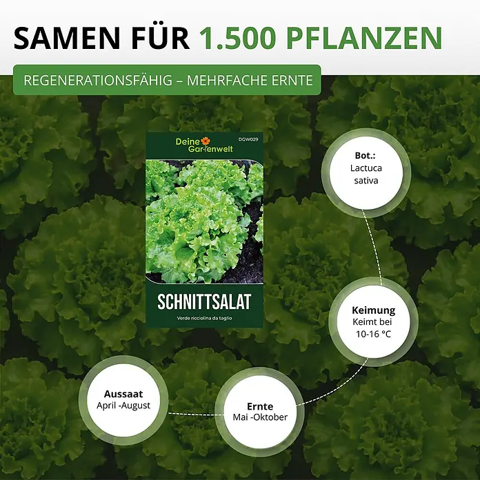 Deine Gartenwelt Schnittsalat Verde ricciolina da taglio -  - Schnittsalat (Pflücksalat) Samenpackung mit Anbauinformationen für 1500 Pflanzen, regenerativ und mehrfache Ernte.