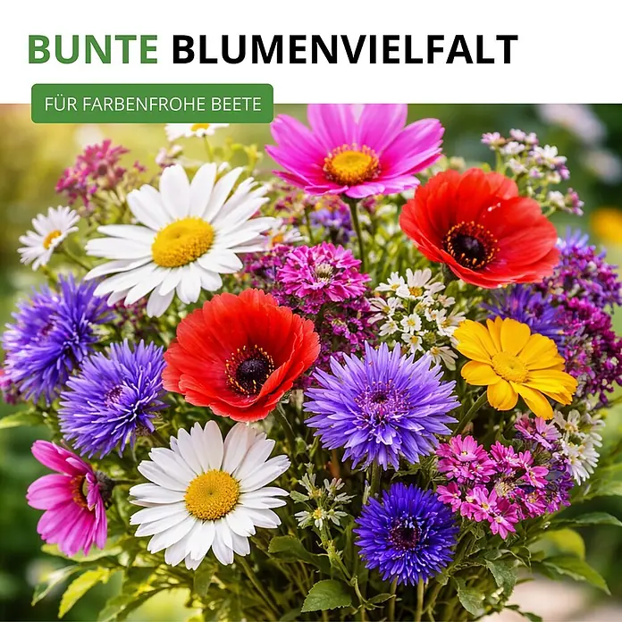 Deine Gartenwelt Blumensamen-Set mit 10 Sorten -  - Bunter Blumenstrauß mit vielfältigen Blüten in Rot, Weiß, Pink, Violett, Gelb und Blau für farbenfrohe Beete.