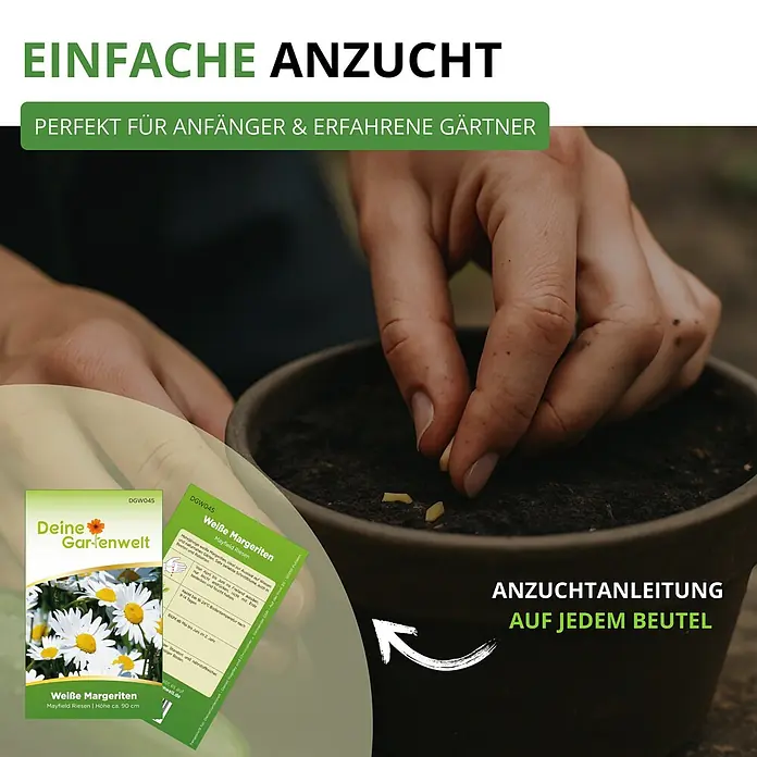 Deine Gartenwelt Blumensamen-Set mit 10 Sorten -  - Hände säen weiße Margeriten-Samen aus einem "Deine Gartenwelt"-Päckchen, mit Anleitung für einfache Anzucht.