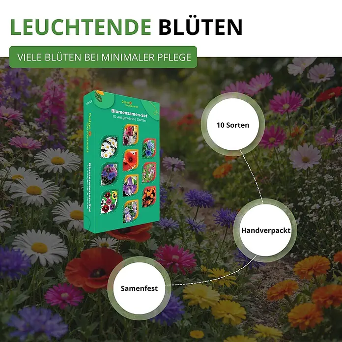 Deine Gartenwelt Blumensamen-Set mit 10 Sorten -  - Grünes Blumensamen-Set mit 10 Sorten, handverpackt und samenfest, in einem blühenden Garten.
