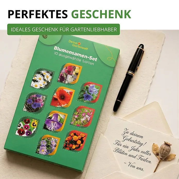 Deine Gartenwelt Blumensamen-Set mit 10 Sorten -  - Grünes Blumensamen-Set Box, "Blumensamen-Set", mit 10 ausgewählten Blumensorten und Abbildungen verschiedener Blumen. Ideales Geschenk für Gartenliebhaber.