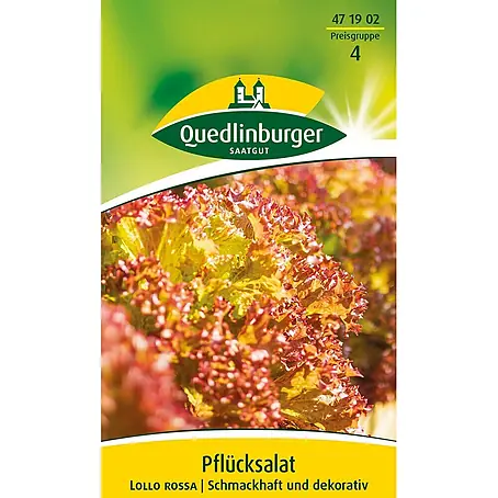 Quedlinburger SAATGUT  Salatsamen Pflücksalat