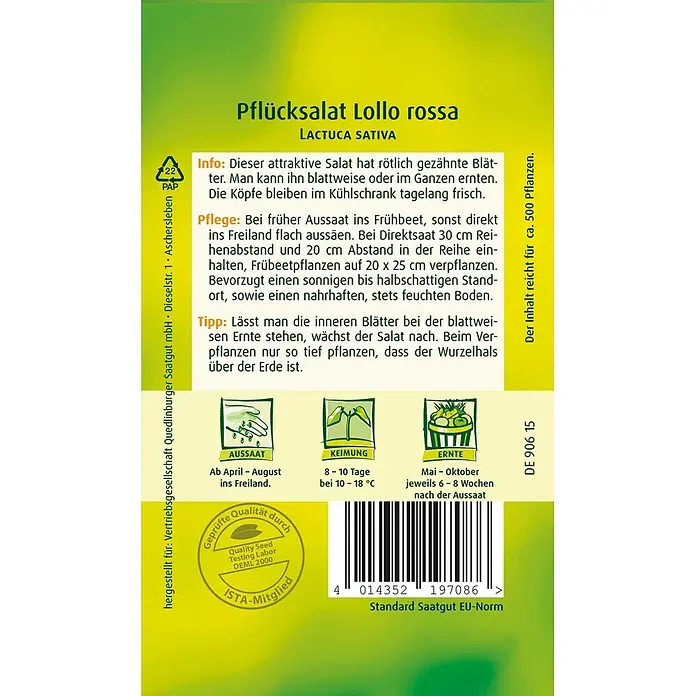 Quedlinburger SAATGUT Salatsamen Pflücksalat - Lactuca sativa, Erntezeit: April, 4 g - Samenpackung für Pflücksalat Lollo rossa mit Anbauinformationen und Barcode.