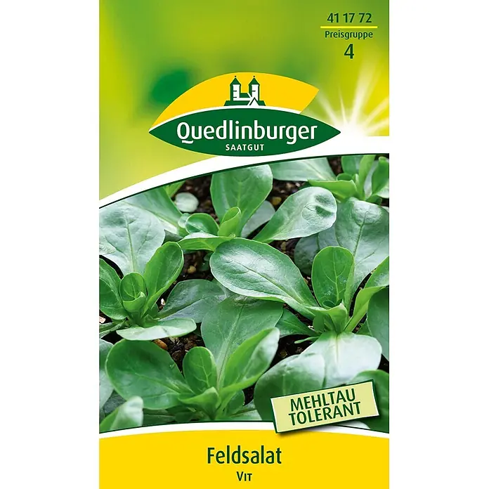Quedlinburger SAATGUT Salatsamen Feldsalat - Valerianella locusta, Erntezeit: August, 2 g - Saatgutpackung für mehltauresistenten Feldsalat, mit grünen Pflanzen.