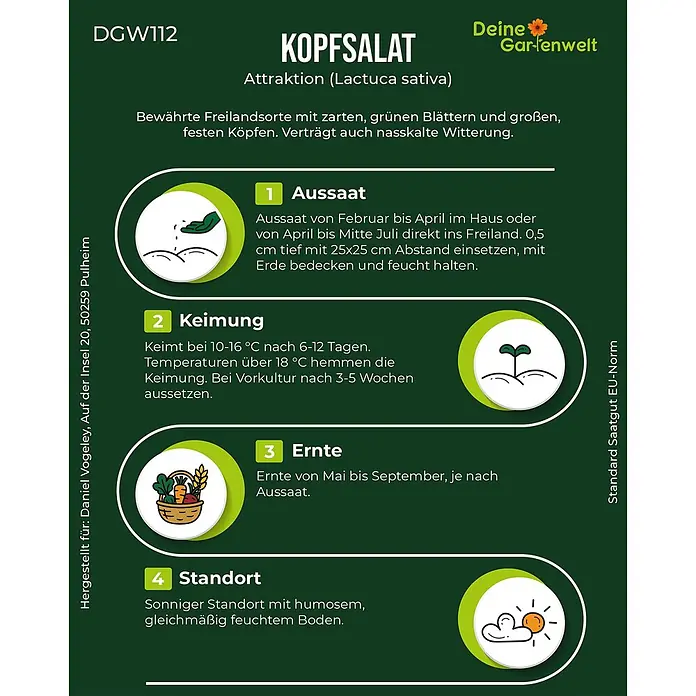 Deine Gartenwelt Kopfsalat Attractie/Attraktion -  - Informationsgrafik zu Kopfsalat (Lactuca sativa) mit Anleitungen zur Aussaat, Keimung, Ernte und Standortwahl, illustriert mit Symbolen.