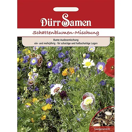 Dürr Samen Blumenmischung Schattenblumen ein- und mehrjährig 20-30 cm