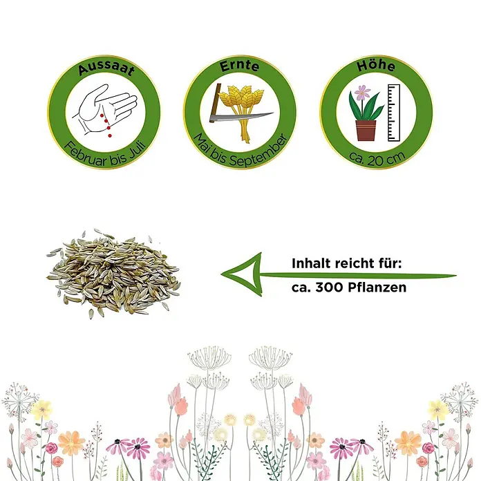 Deine Gartenwelt Kopfsalat Attractie/Attraktion -  - Samenpackungsinformationen: Aussaat Feb-Jul, Ernte Mai-Sep, Höhe ca. 20 cm. Inhalt reicht für ca. 300 Pflanzen.